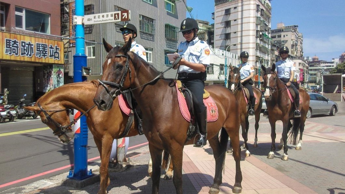 市區驚見警察騎馬巡邏！神人揭真實任務，網友：彷彿置身歐洲街道