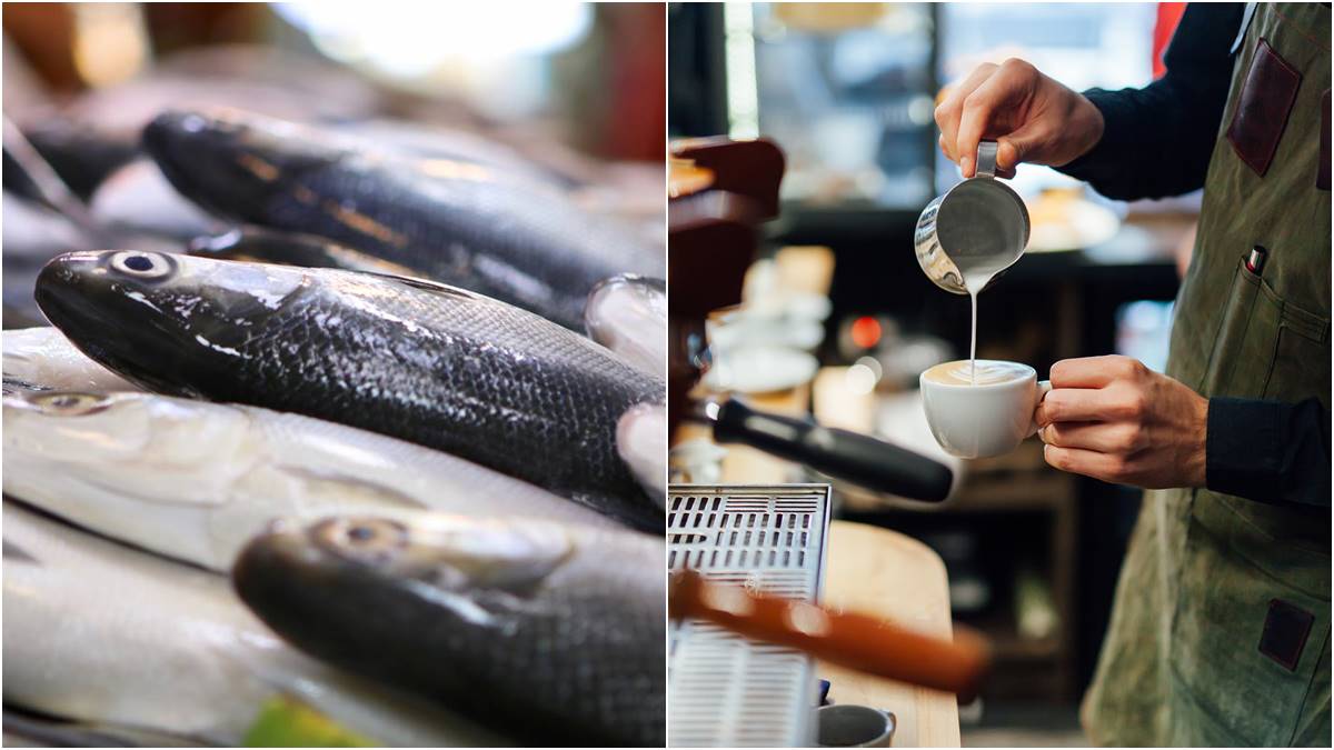 虱目魚為什麼叫「虱目魚」、日本第１家咖啡館，竟然都跟鄭成功有關