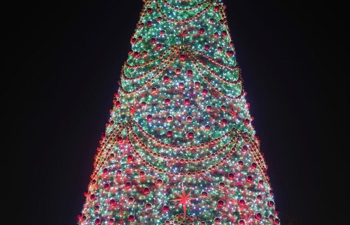 衝「台版小白宮」過耶誕！13米高歐風耶誕樹華麗爆棚，再逛市集、星空電影院