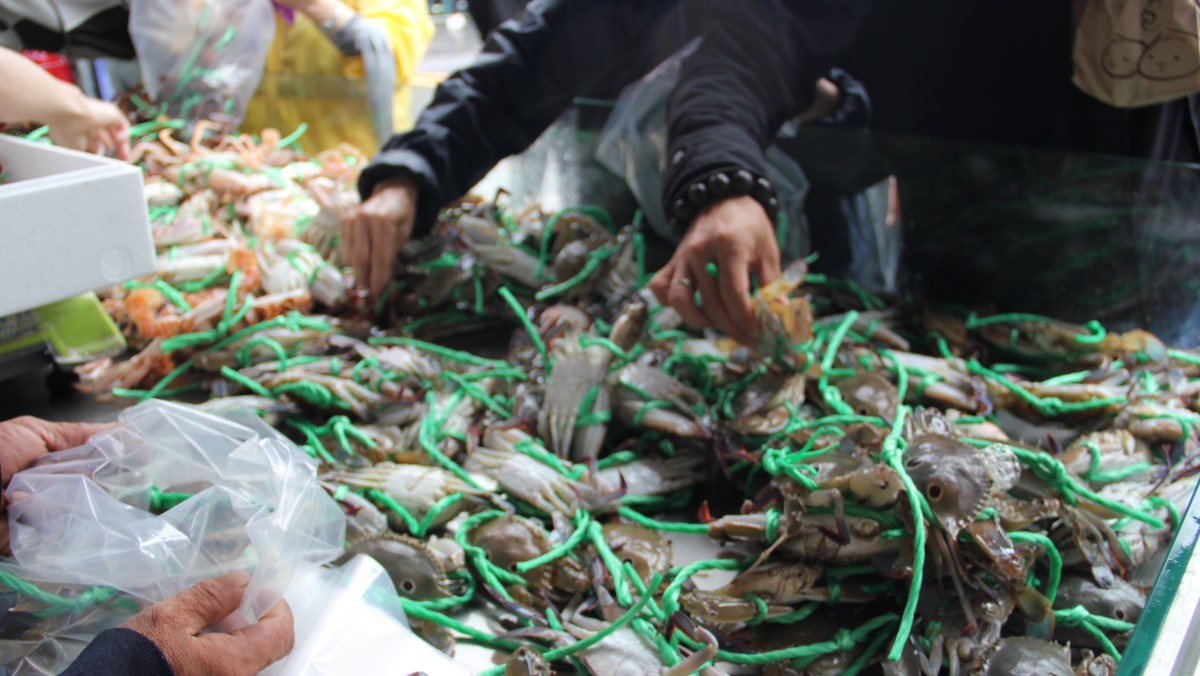 「螃蟹肥了」！12月3日漁獲促銷特賣會，與您相約漁人碼頭淡水魚市