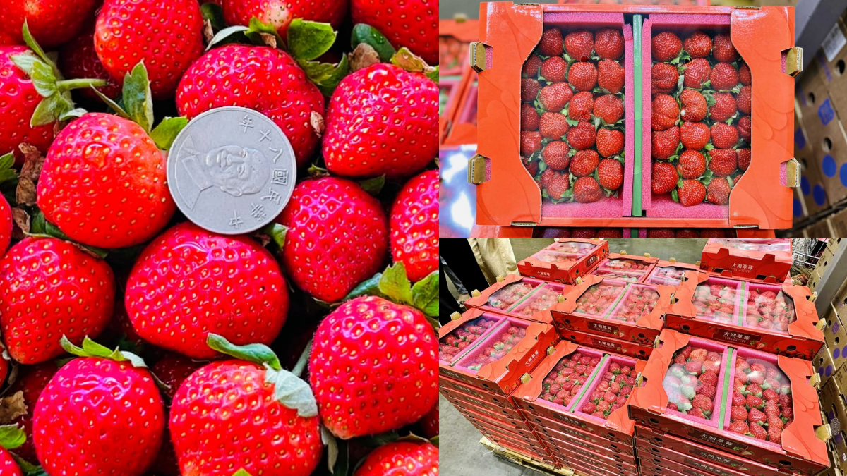比現採還便宜！好市多鮮甜多汁「大湖香水草莓」上架，１公斤450元有找