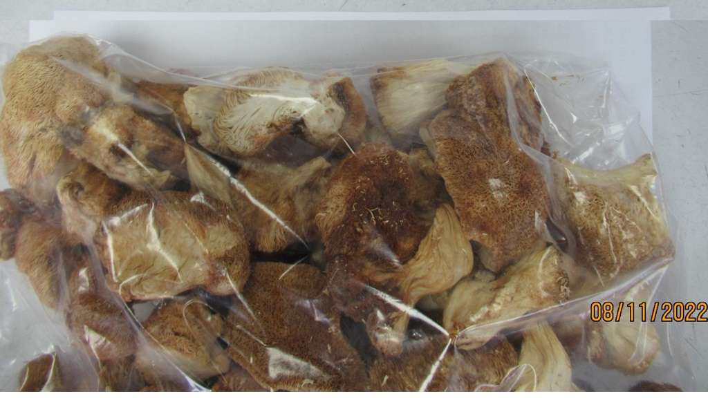 「這種」進口菇類今年連續12批檢出農藥超標！日本哈密瓜3度違規遭攔截