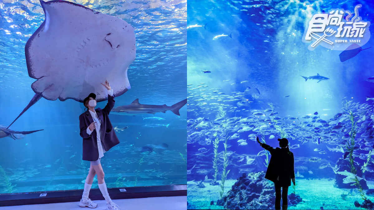 打卡巨萌魟魚＋23米水槽！直擊世界級水族館，再搶拍４層樓觀景窗、海底隧道