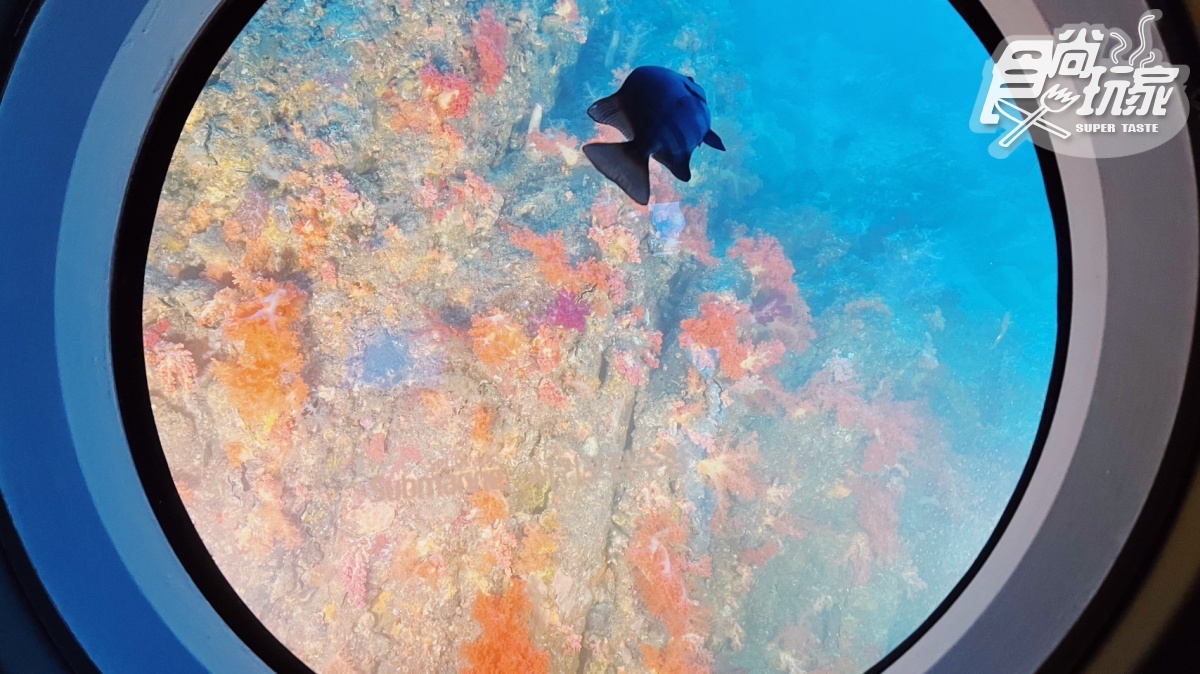 瘋玩「水下觀光」！濟州超夯「西歸浦潛艇」，打卡絕美活珊瑚、海女餵食秀