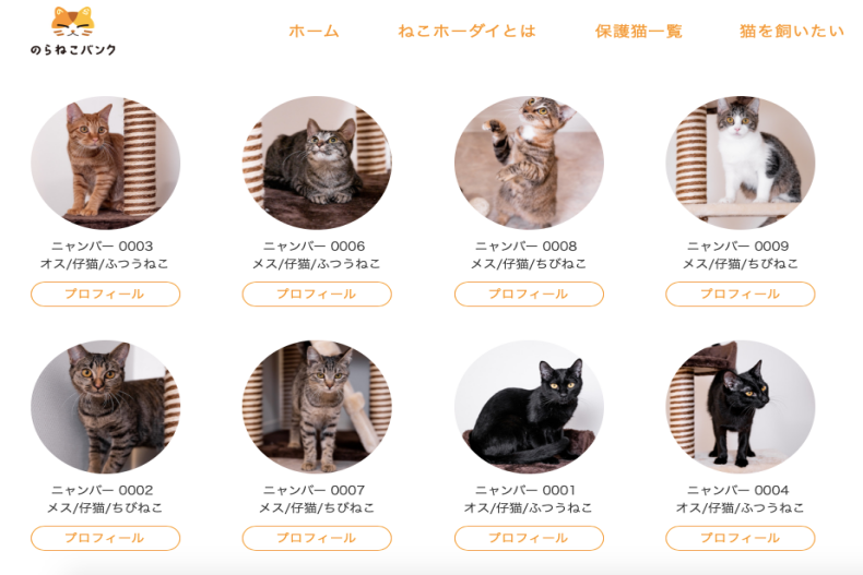手機一鍵訂閱？日本浪貓組織推「月付88元領養貓」隨時退訂方案惹議