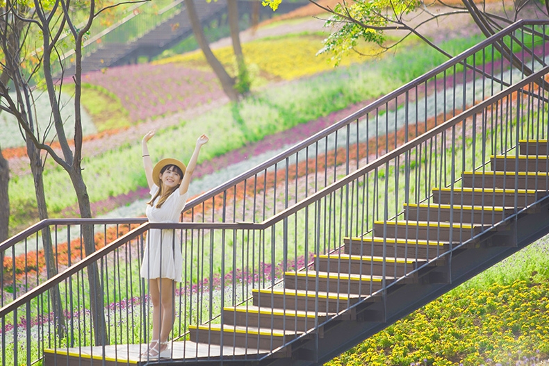 過年國內走春旅遊推薦：全台16個賞花景點＆花期整理，親子老人皆適合！