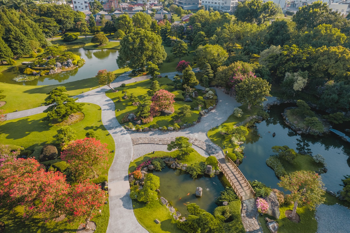 與大佛合照「入園半價」！彰化落羽松大道春節正美，「台版兼六園」超好拍