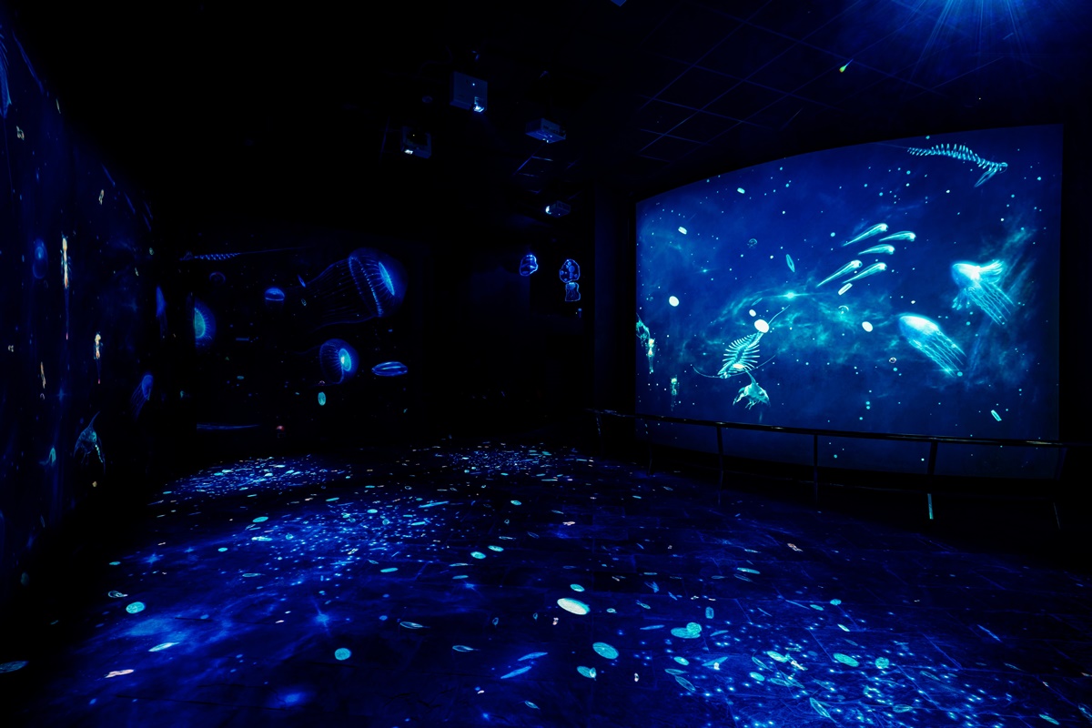 帶你潛入深海！屏東海生館全新場域「微光漂流」，浮游生物驚喜現身