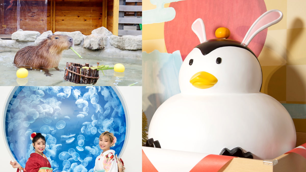 衝Xpark過新年！新春活動５大亮點曝：搶拍水豚澡堂＋企鵝鏡餅、玩祭典遊戲