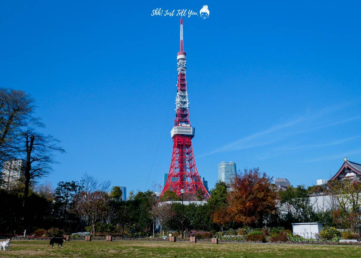 東京鐵塔都市傳說！情侶目擊「熄燈瞬間」感情不散，日人跪求「施工也照舊」