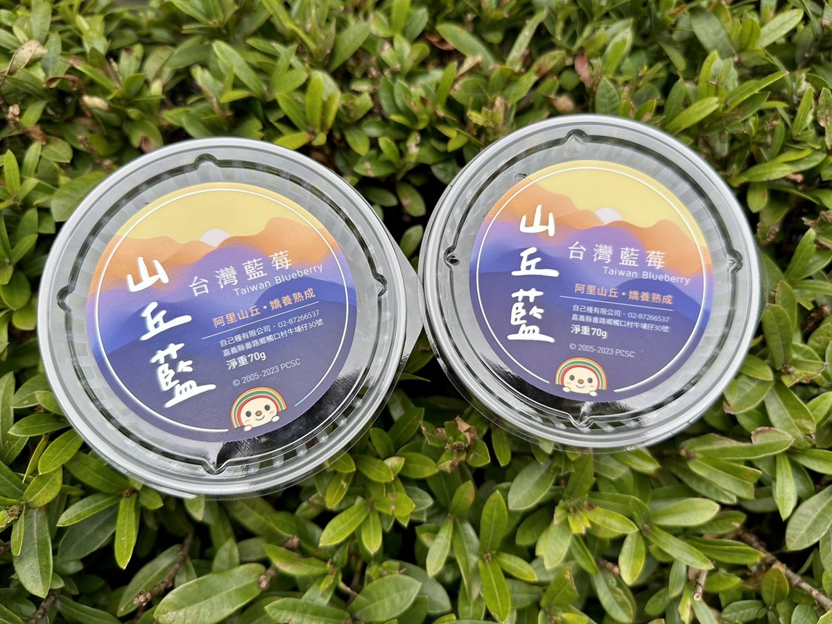 日式鮮奶泡芙大爆漿！7-11最新鮮乳甜點到，還有超夯台灣藍莓「山丘藍」首開賣