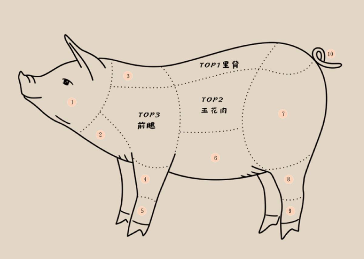 全豬美味大賞（下）！豬隻10部位美味度評比，「這部位」超珍貴入口即化