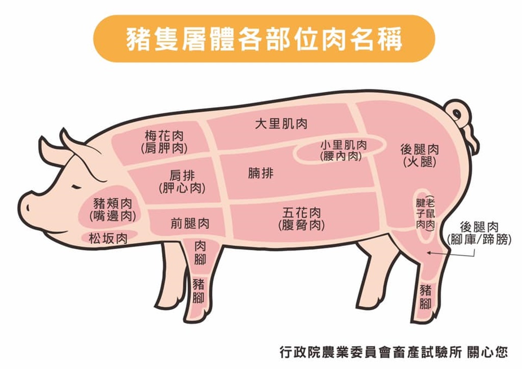 豬肉「這部位」是打針首選 常長瘤發臭？專家給答案：別一竿子打翻一票豬