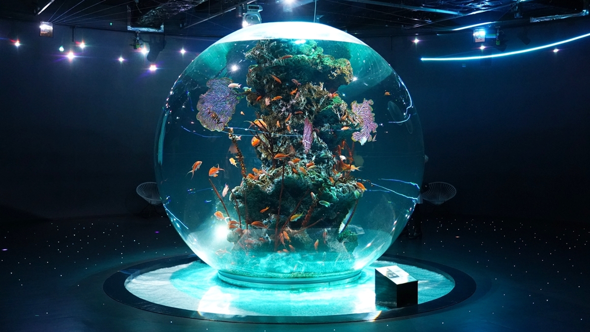 水族館打造日本最大的球體水槽，一開幕就引起風潮。（圖片來源：金大佛的奪門而出家網誌）