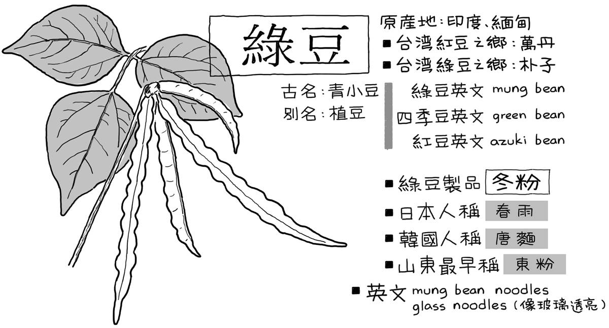 「黃金比例」綠豆湯怎麼煮？老饕揭美味關鍵：泡水順序、最後加「這１味」