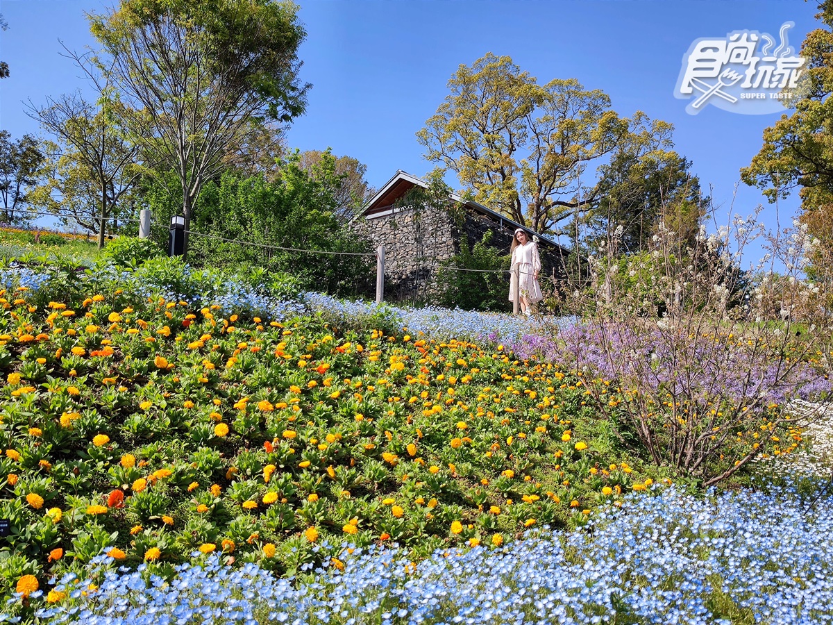 隨便拍都夢幻！超美植物園顏值爆表，必拍「巨型太空艙溫室」