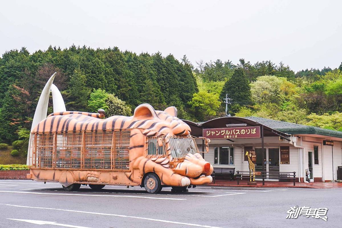 日本人氣動物園！５間必去推薦：坐造型巴士餵動物、企鵝散步秀、珍稀白老虎