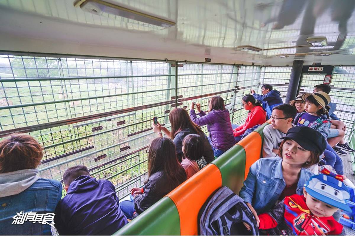 日本人氣動物園！５間必去推薦：坐造型巴士餵動物、企鵝散步秀、珍稀白老虎