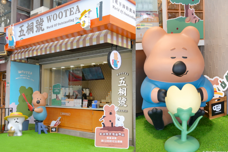 五桐號最萌聯名DinoTaeng飲料杯、餅乾罐可愛瘋！巨型短袋鼠公仔入駐全台這4店