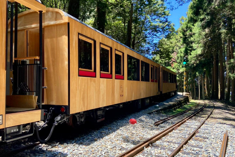阿里山最美檜木小火車「福森號」這4天正式試車！捕捉在森林中奔馳的美麗身影