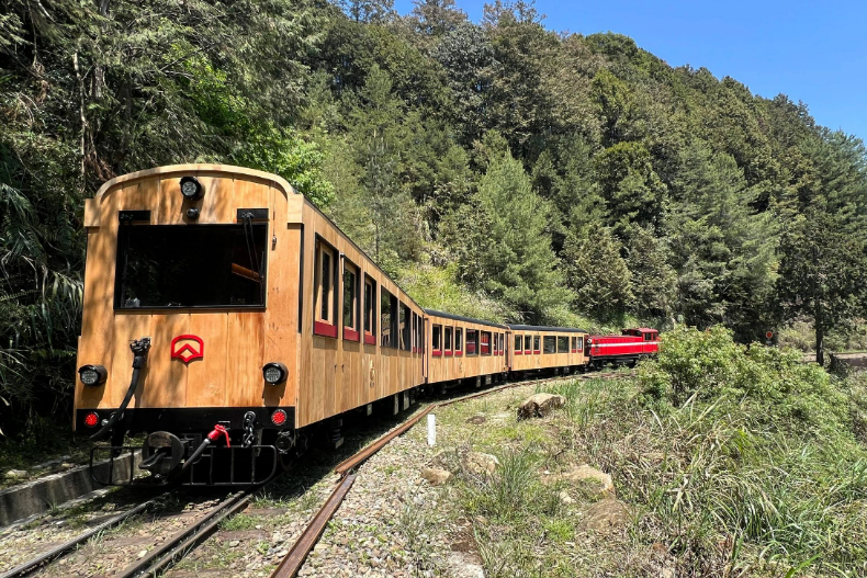 阿里山最美檜木小火車「福森號」這4天正式試車！捕捉在森林中奔馳的美麗身影