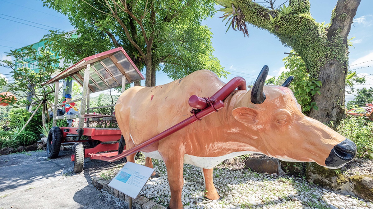 農場的停車場周圍設了許多水牛和牛車雕像，很有農家味。（圖片來源：瑞貝卡一家）
