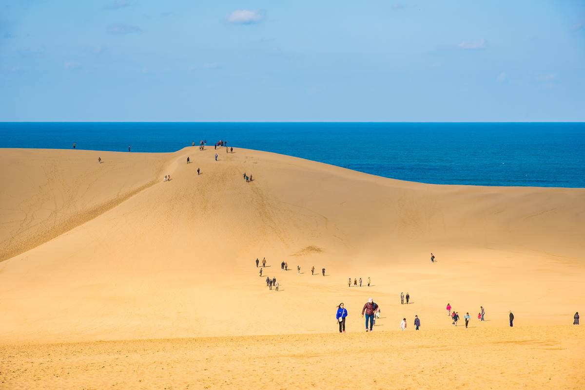 日本「唯一沙漠」！體驗騎駱駝、打卡「17度角咖啡廳」，飽覽沙丘海岸雙美景