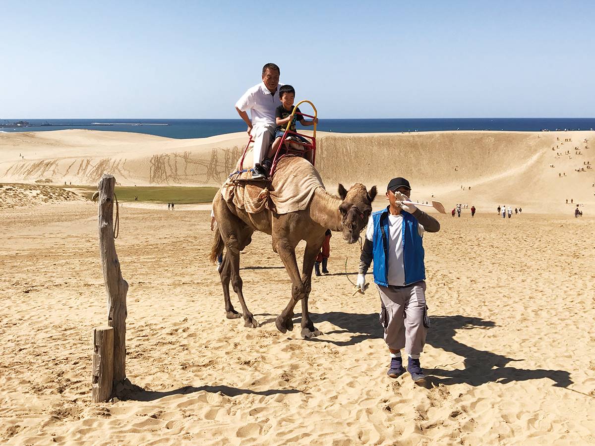 日本「唯一沙漠」！體驗騎駱駝、打卡「17度角咖啡廳」，飽覽沙丘海岸雙美景