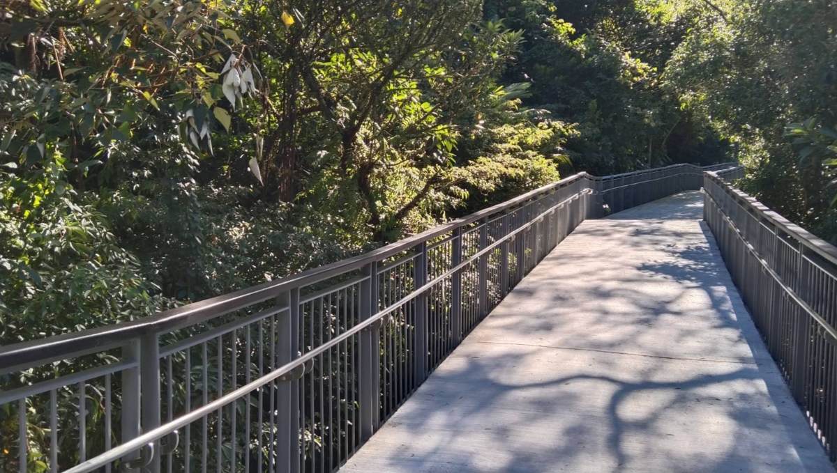 台版「尼加拉瀑布」免費拍爆！６月起延長開放時間，順遊森林吊橋、復古老街