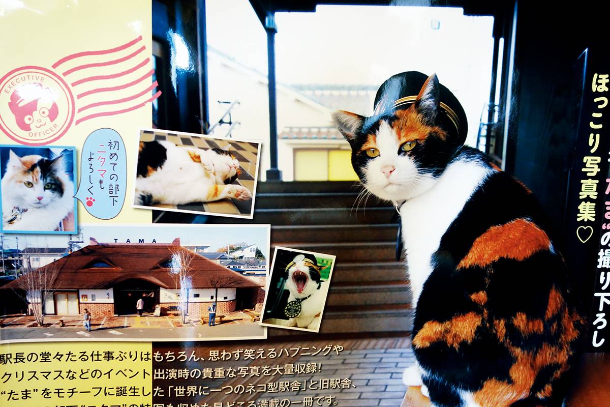 日本「最強貓站長」！一代上任１年吸金日幣11億，快搭「小玉電車」訪繼承人