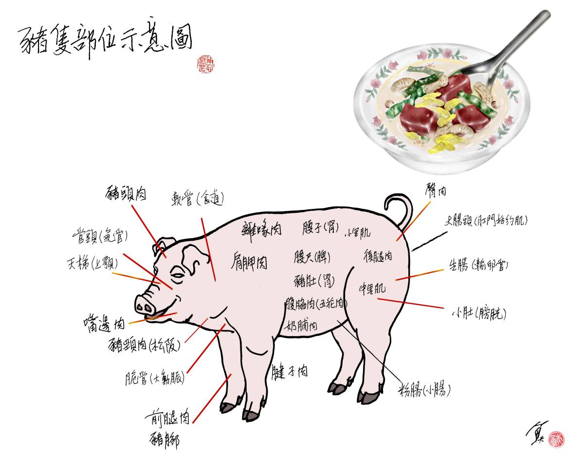 每人年平均吃35公斤豬肉，你知道老鼠肉跟小肚是豬的什麼部位 - The News Lens 關鍵評論網