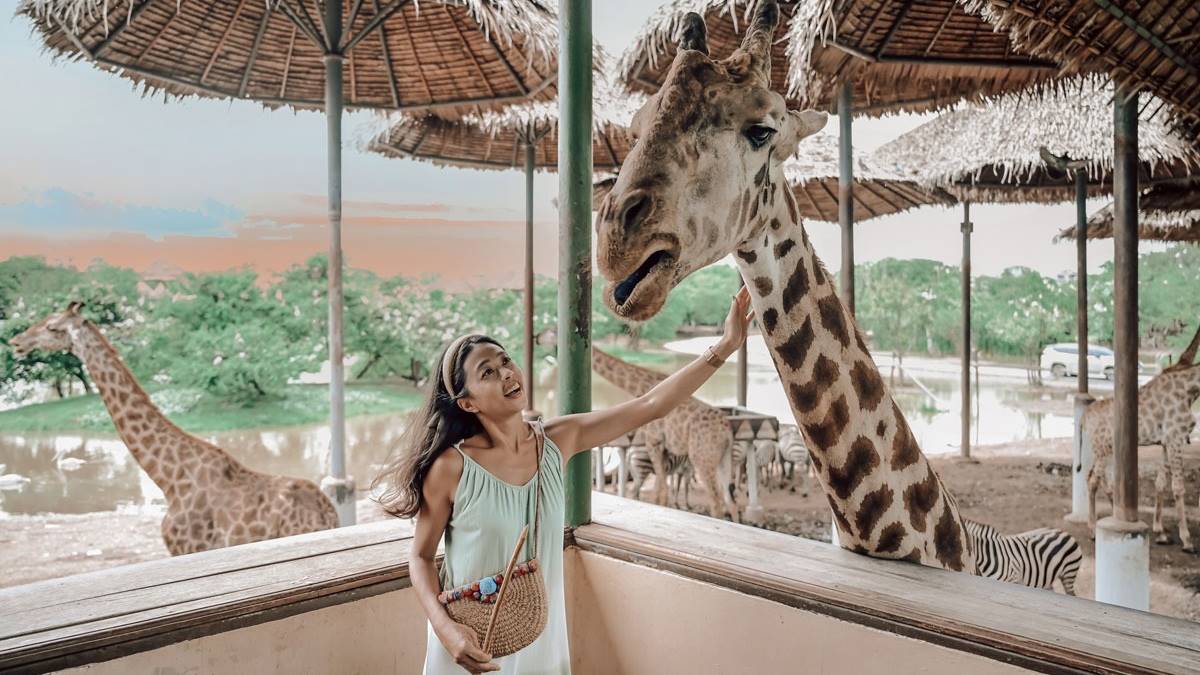 「賽福瑞野生動物園」是亞洲最大的野生動物園，占地約5,000公頃。（圖片來源：焦糖熱一點）