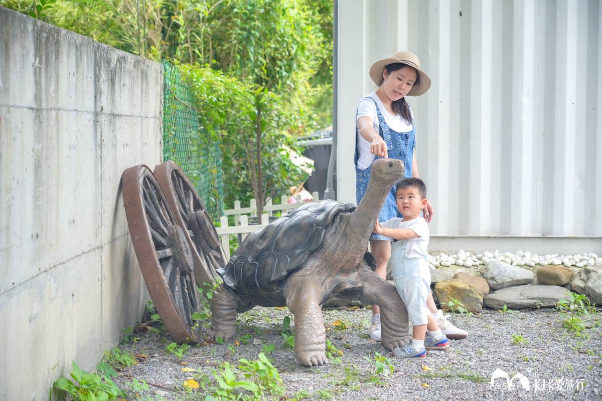 【新開店】最低100元玩到飽！「宜蘭親子農場」近距離餵陸龜、狐獴、柯爾鴨