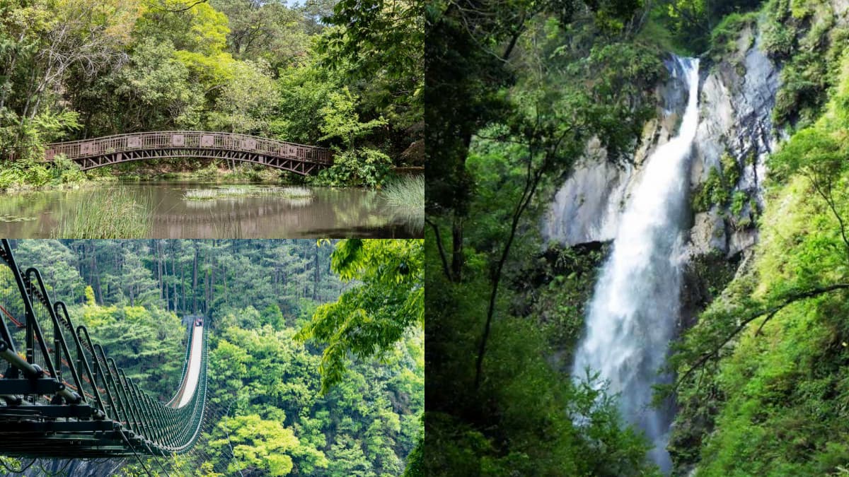 南投森林遊樂區「10元玩整天」！打卡絕美飛瀑瀑布、祕境步道，限時５天快衝