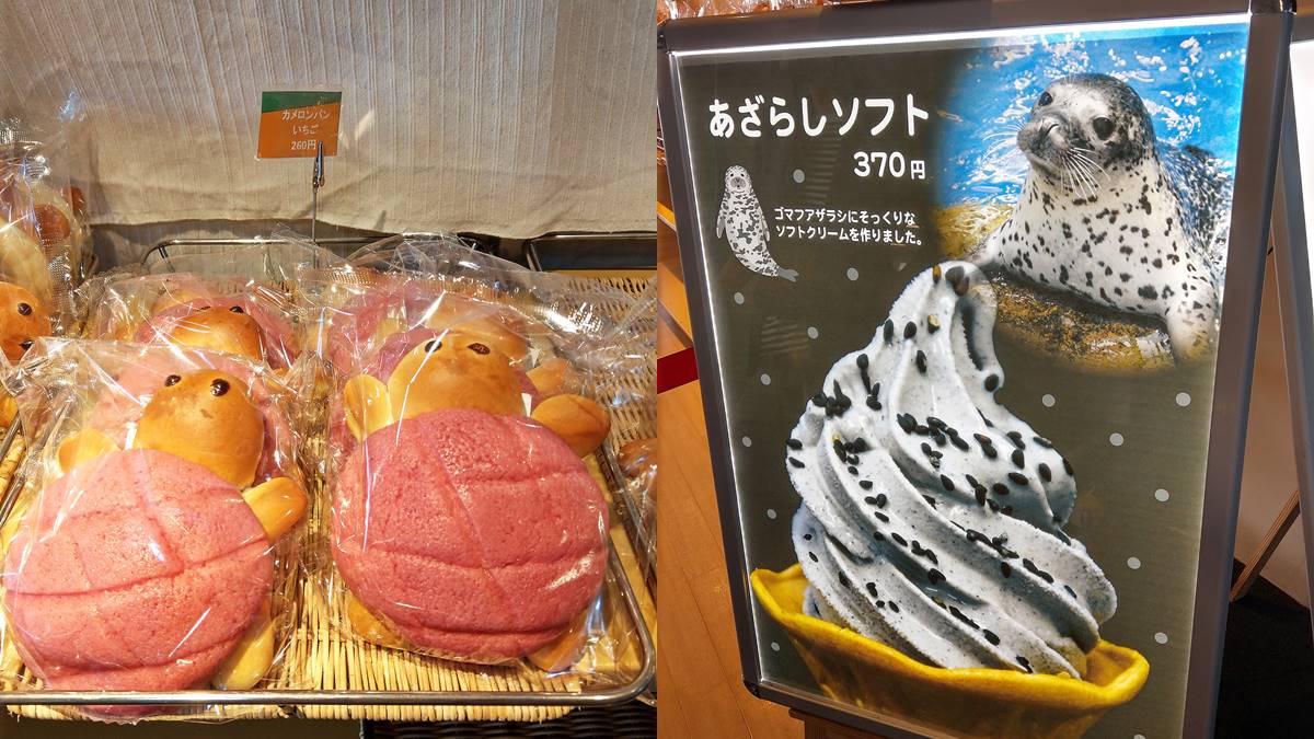 暑假來這放電！東京近郊親子遊５亮點：日本「最長溜滑梯」、可愛海豹霜淇淋