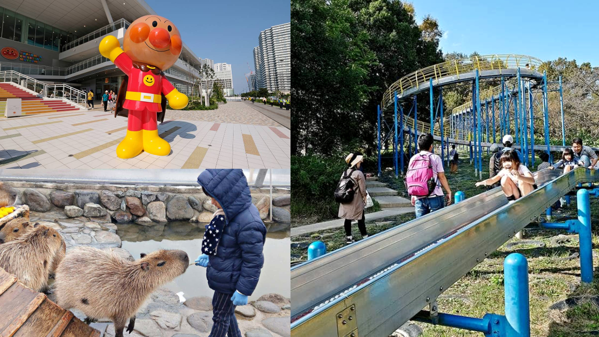 暑假來這放電！東京近郊親子遊５亮點：日本「最長溜滑梯」、可愛海豹霜淇淋