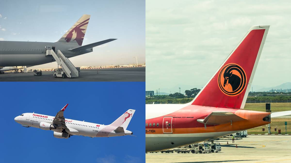 今年出國了沒？各國飛機Logo揭祕，鳥類圖案「這航空」台灣人一定坐過