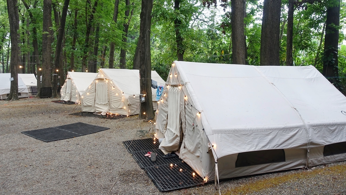 園區裡提供免搭帳露營，可以一起在森林裡享受悠閒美好的時光。（圖片來源：新八大森林生態露營樂園）