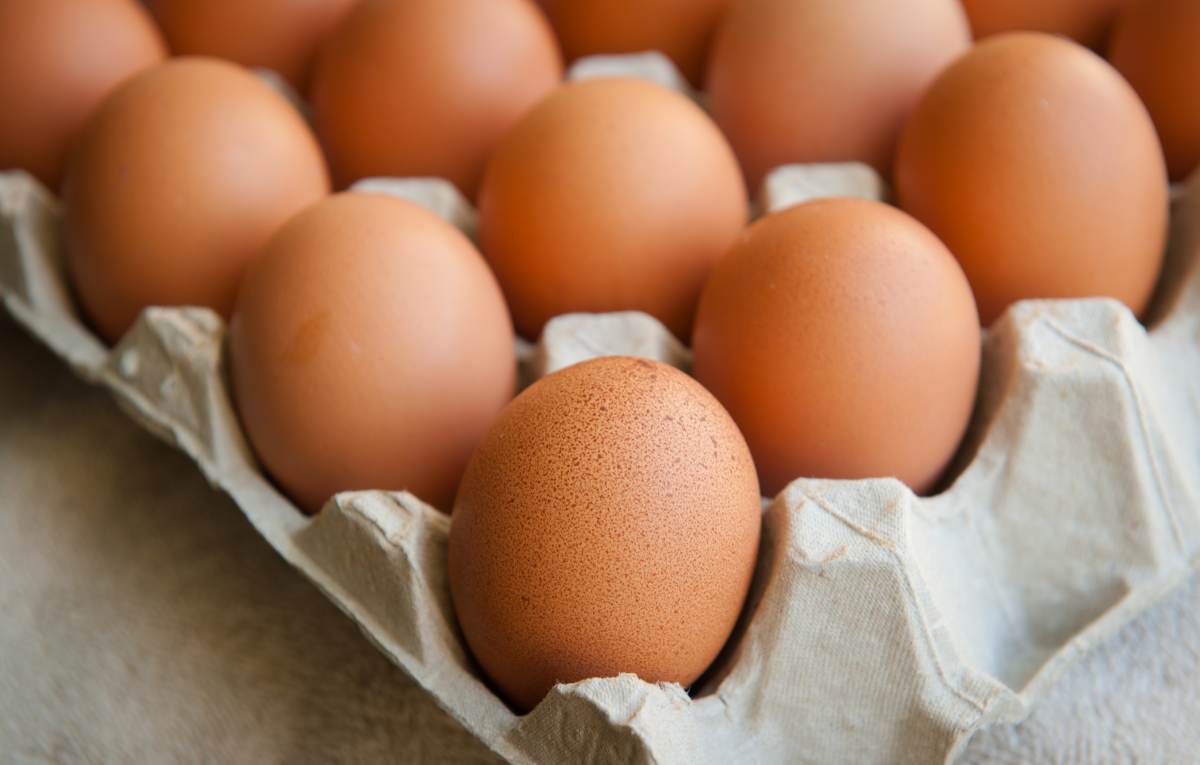 １天到底能吃幾顆蛋？吃蛋會讓膽固醇變高？專家：「１類人」才要特別注意