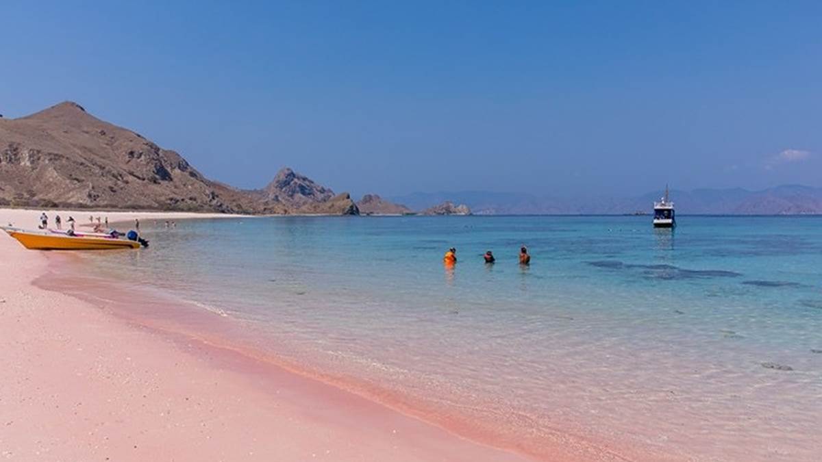 印尼的「科莫多島」是世界十大粉紅沙灘之一。（圖片來源：小虎食夢網）