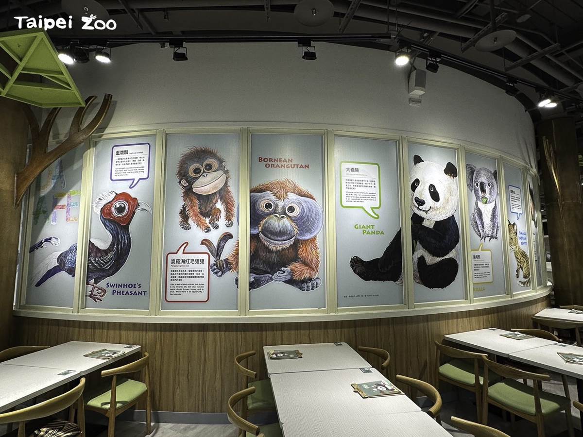 12歲以下免費入園！南北２大動物園推「全新用餐區」，先衝全台唯一貓熊餐廳