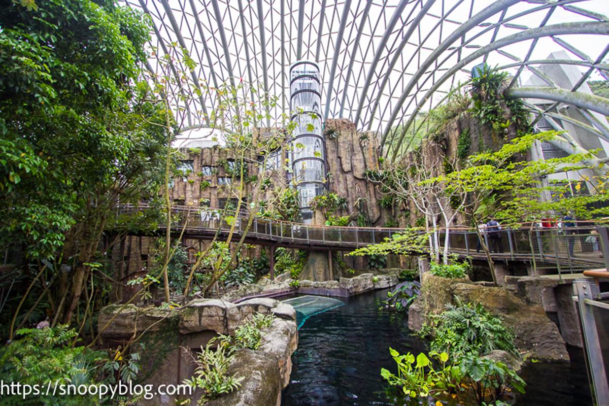 暑假帶小孩放電！必逛「最強動物園」TOP６：全台面積最大、12歲以下免費入園