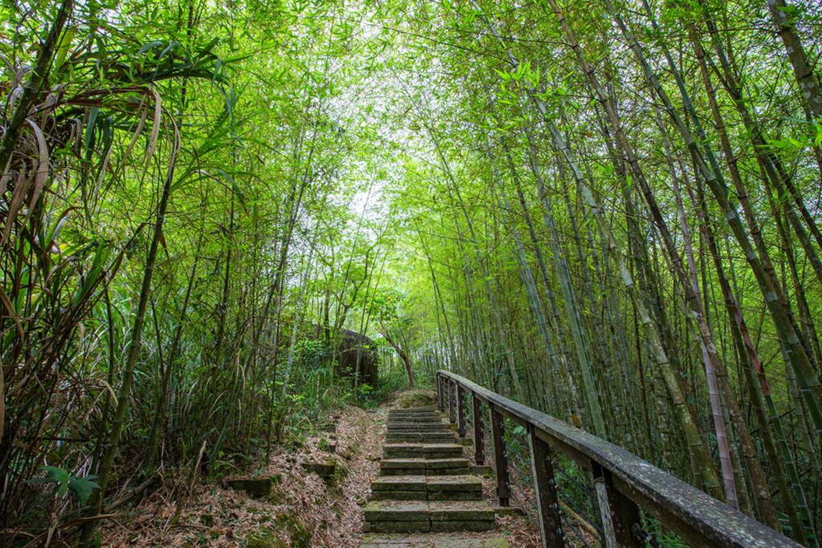別只去阿里山！嘉義梅山12大祕境：最美茶園步道、台版九寨溝、海拔最高吊橋