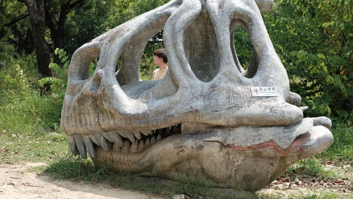 獨特的暴龍頭骨，吸引了許多恐龍迷前往拍照。（圖片來源：JJ.Hsu）