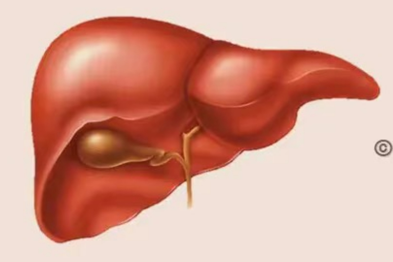 肝若不好人生是黑白的！肝臟不佳可能帶來的5大「隱形」訊號：臉黃痘痘多的人要更注意