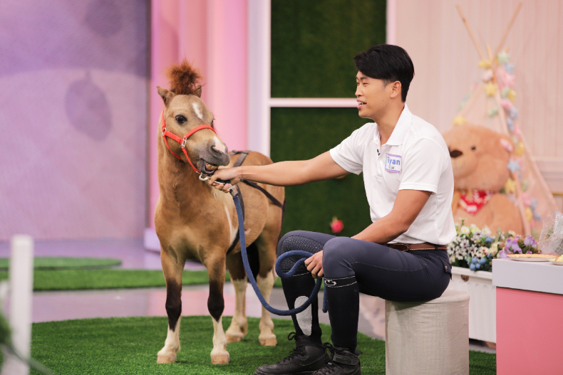 ▲歡迎Ryan＋6歲法拉貝拉馬-嘎逼～號稱世界最小的馬