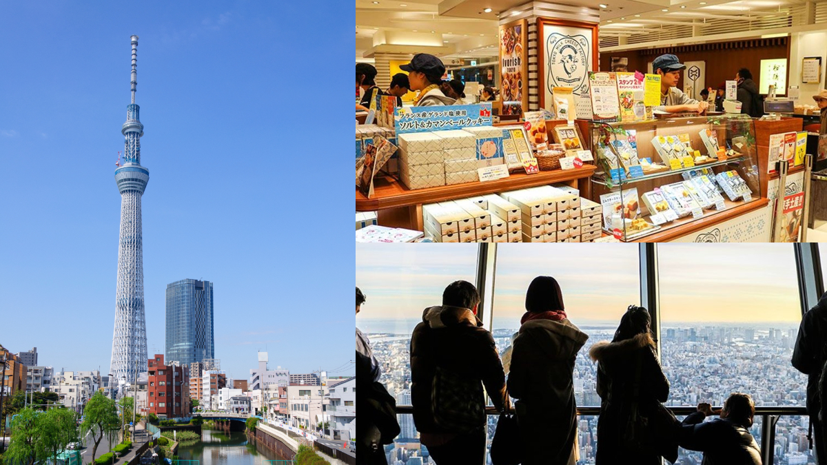 玩整天都沒問題！2023東京晴空塔超詳細攻略，各樓層必吃、必買伴手禮１次看