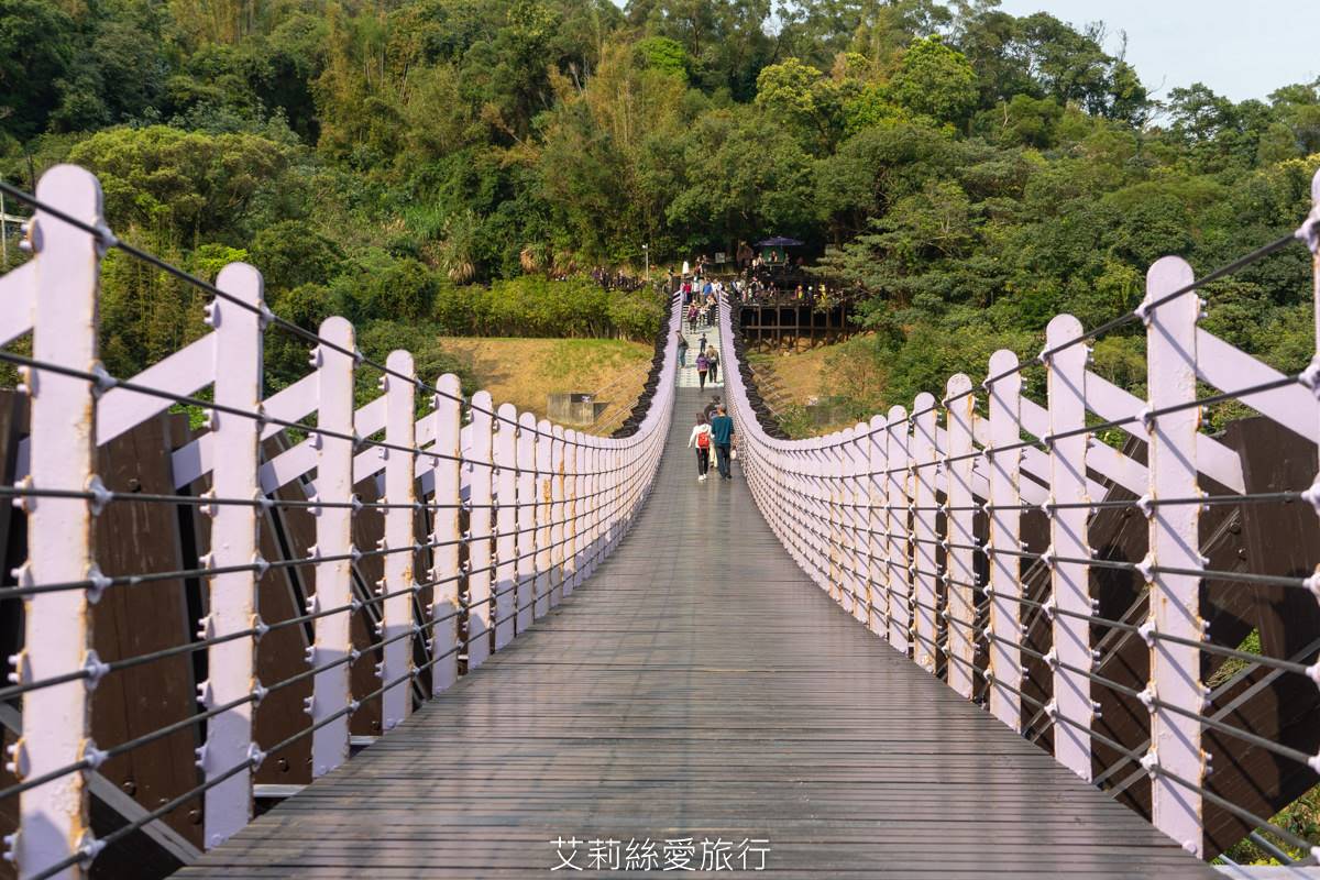 輕鬆好走不費力！內湖６條森林步道：80米「S型空中長廊」、紫色龍形吊橋