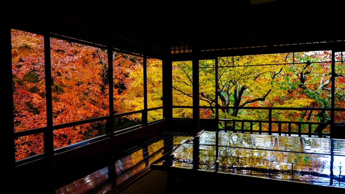 在日式建築中，欣賞庭院的紅葉美景，讓人有如夢似幻的感覺。（圖片來源：桃桃‘s旅人手札）