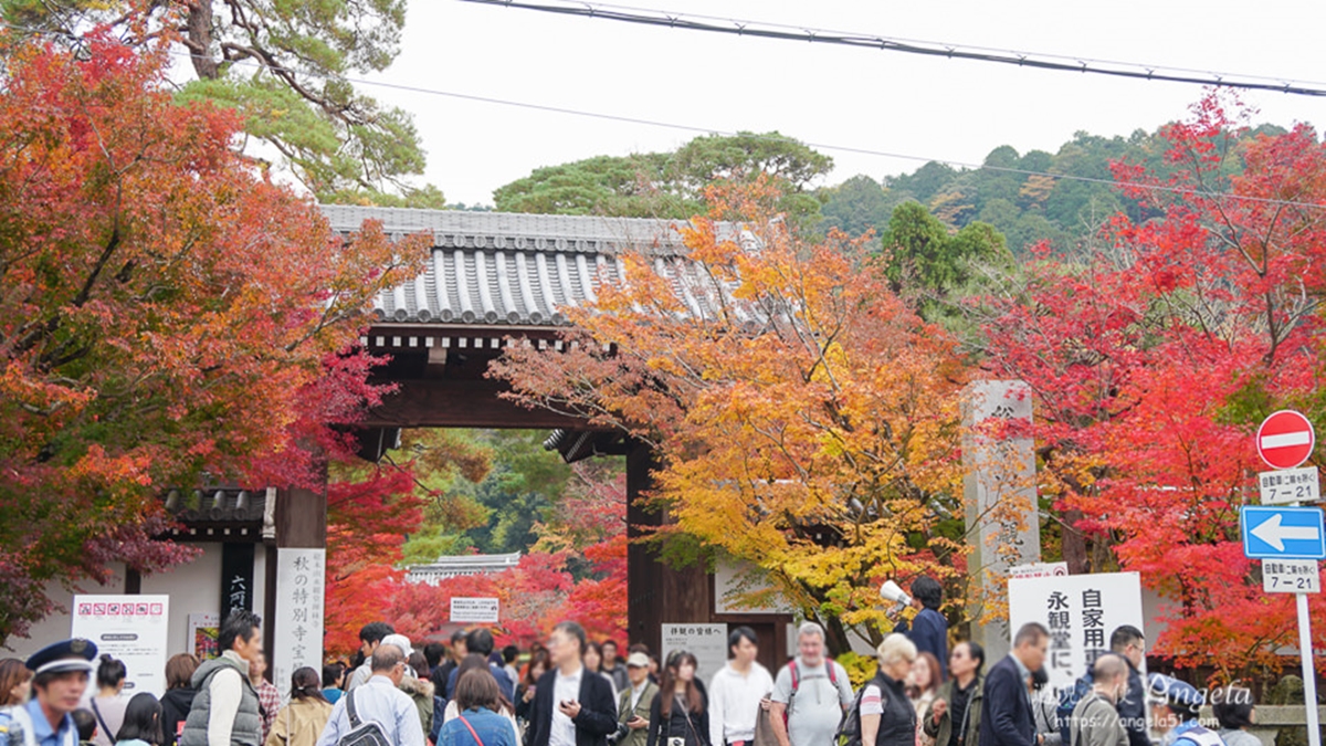 「永觀堂（禪林寺）」是來到京都賞楓必推薦的景點。（圖片來源：遇見天使Angela）